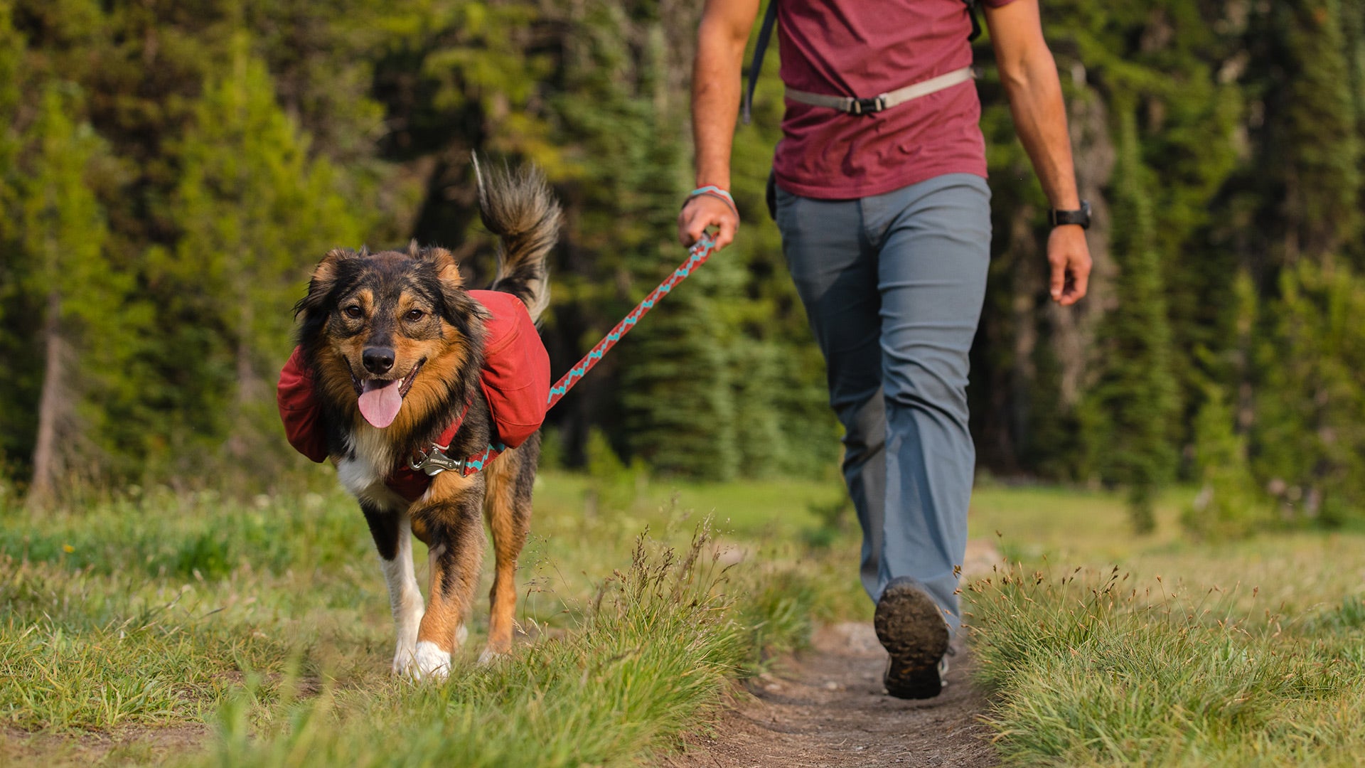 Flat Out Adjustable Dog Leash with Traffic Handle Ruffwear