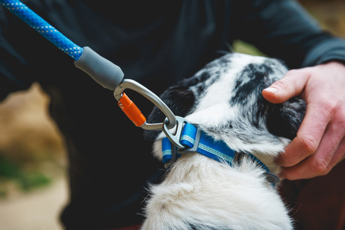 carabiner clip