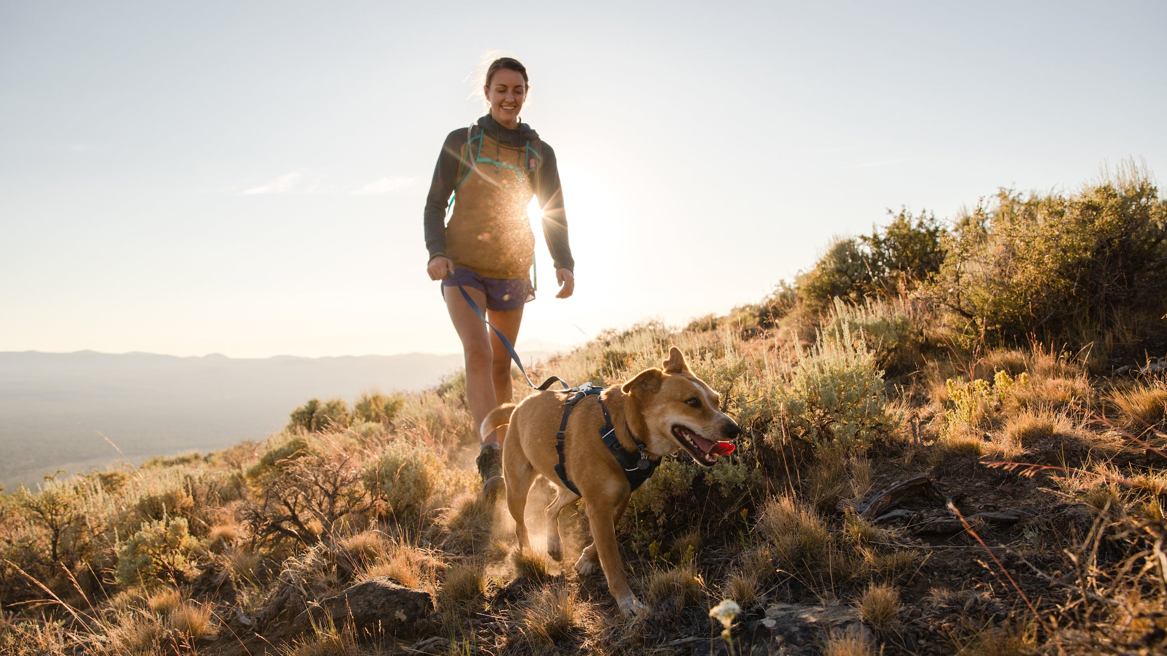 Dog Harnesses Strong Secure Ruffwear