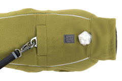 Cedar Green