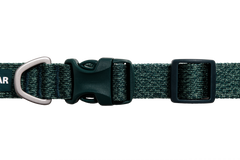 Deep Teal
