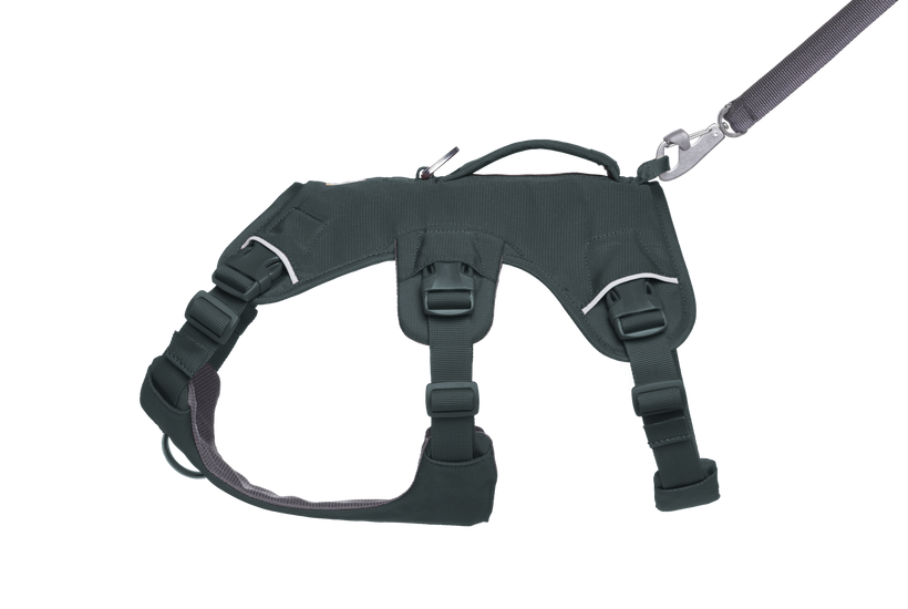 Web Master™ Dog Harness with Handle Ruffwear