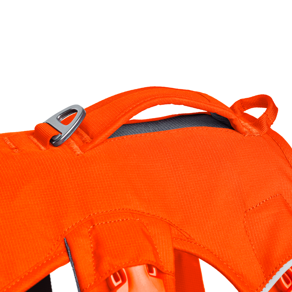 Web Master™ Dog Harness with Handle Ruffwear