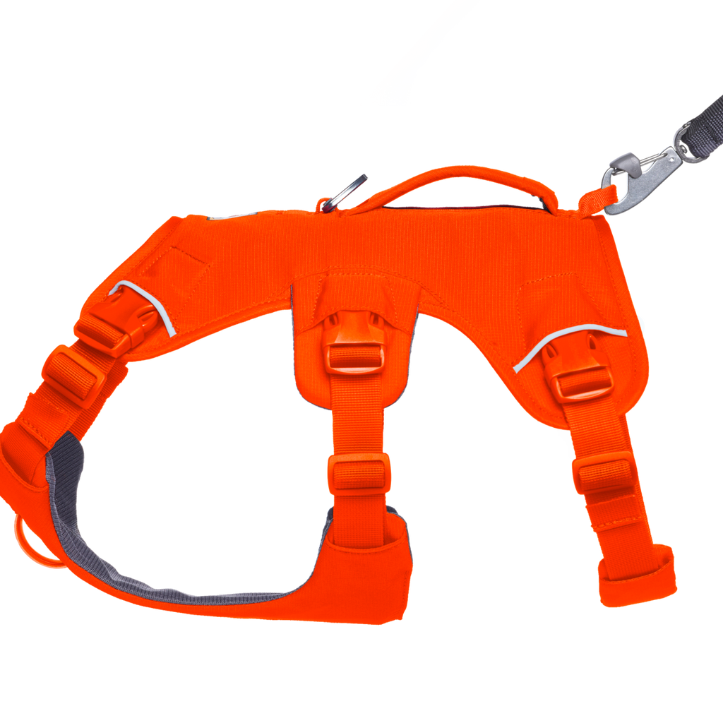 Web Master™ Dog Harness with Handle Ruffwear