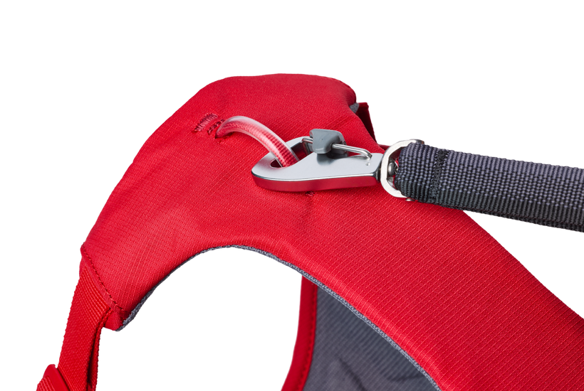 Web Master™ Dog Harness with Handle Ruffwear
