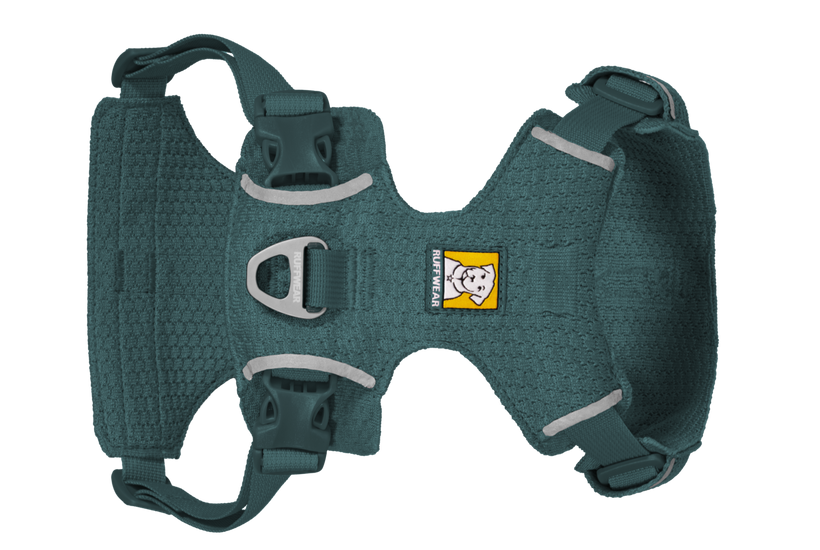 Deep Teal