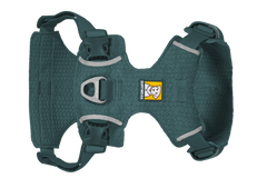 Deep Teal