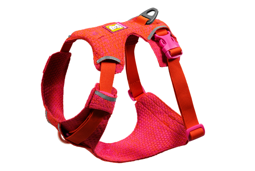 Front Range® Flex Harness | Ruffwear Front Range® Flex Harness | Ruffwear