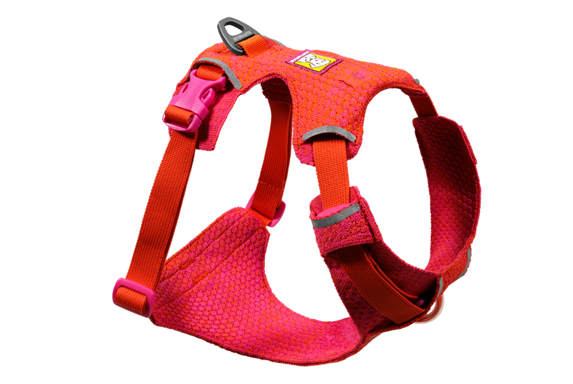 Front Range® Flex Harness | Ruffwear