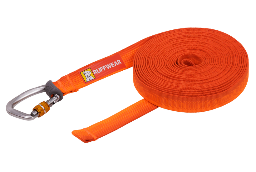 Blaze Orange