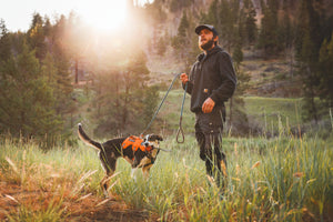 The Original Ruffwear Harness, Redefined. Video Thumbnail