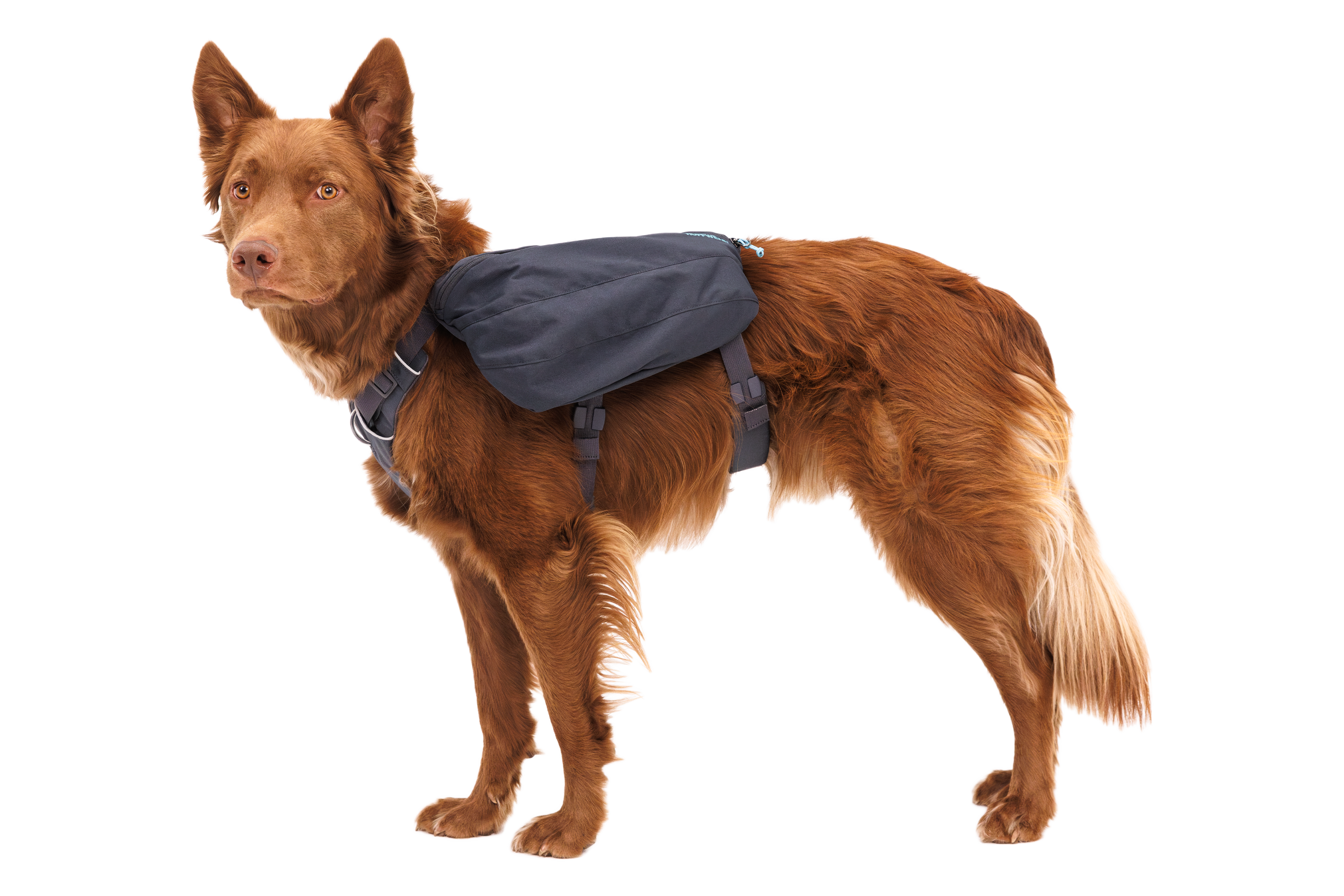 Front Range Day Pack Ruffwear