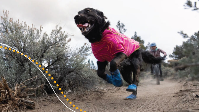 Woman mountain bikes with dog, dog leads on trail in trail shoes.