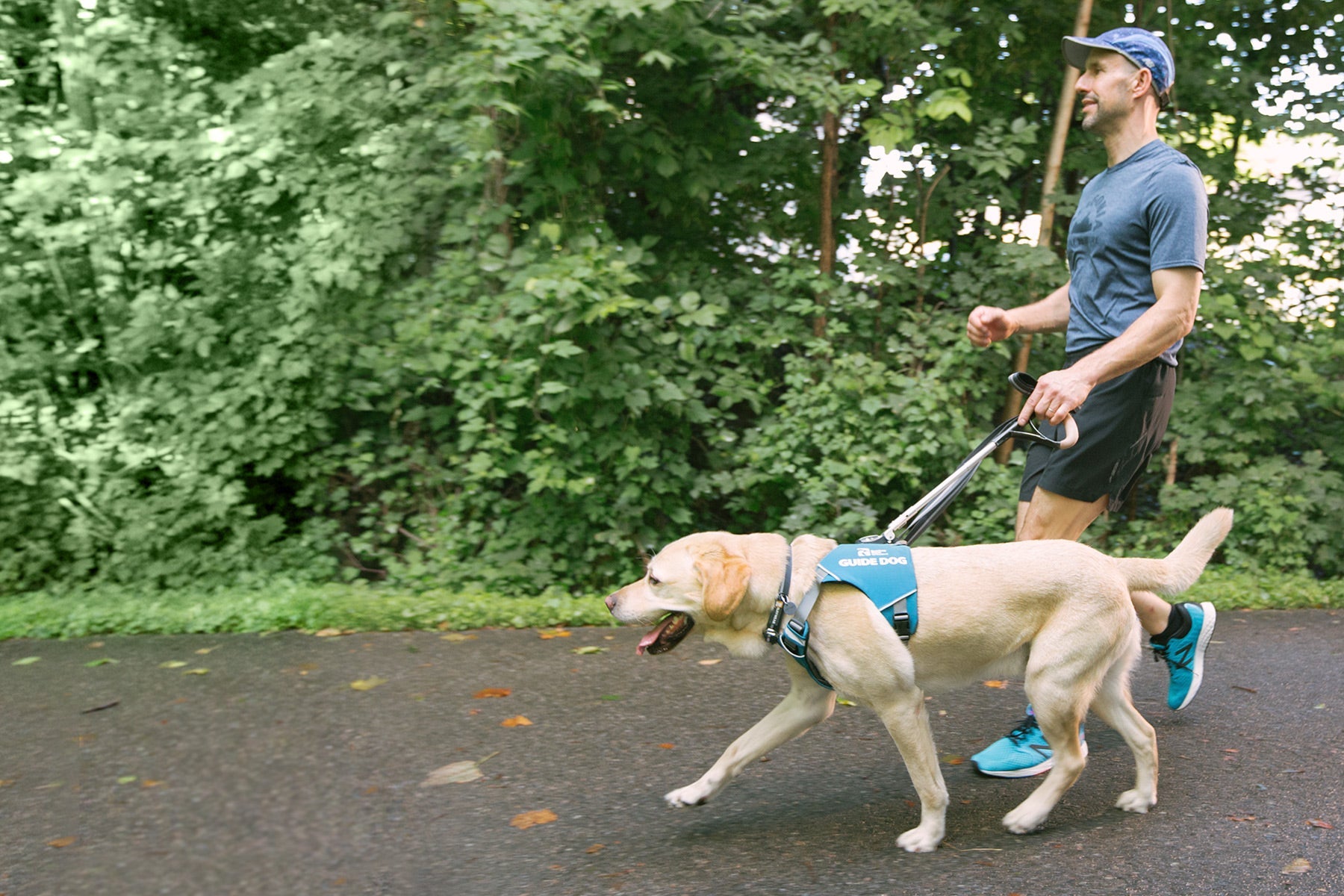 Guide dog lead hotsell