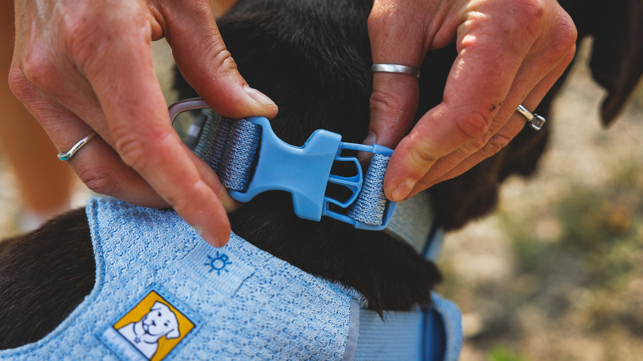 Durable Buckle