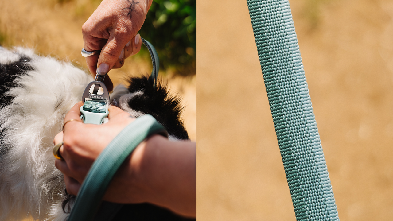Durable Webbing