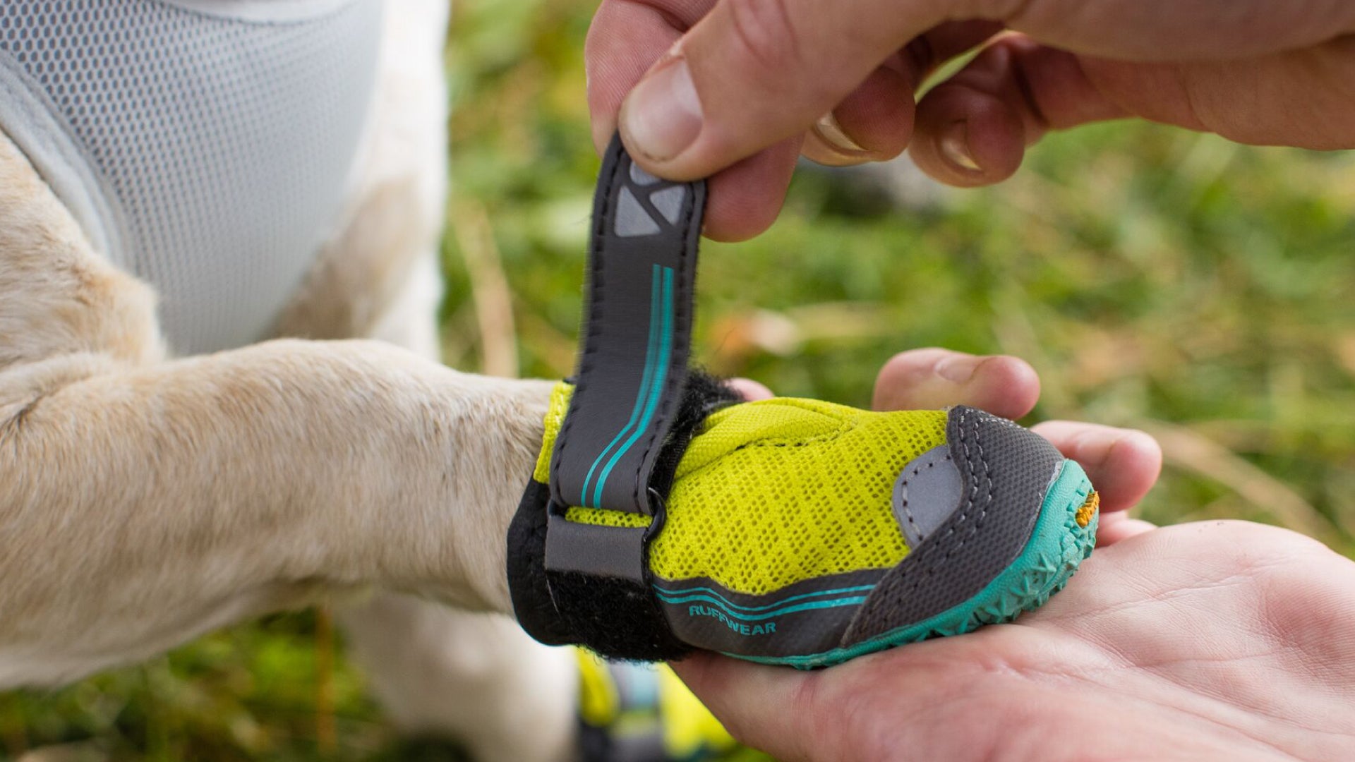 All terrain shop dog boots