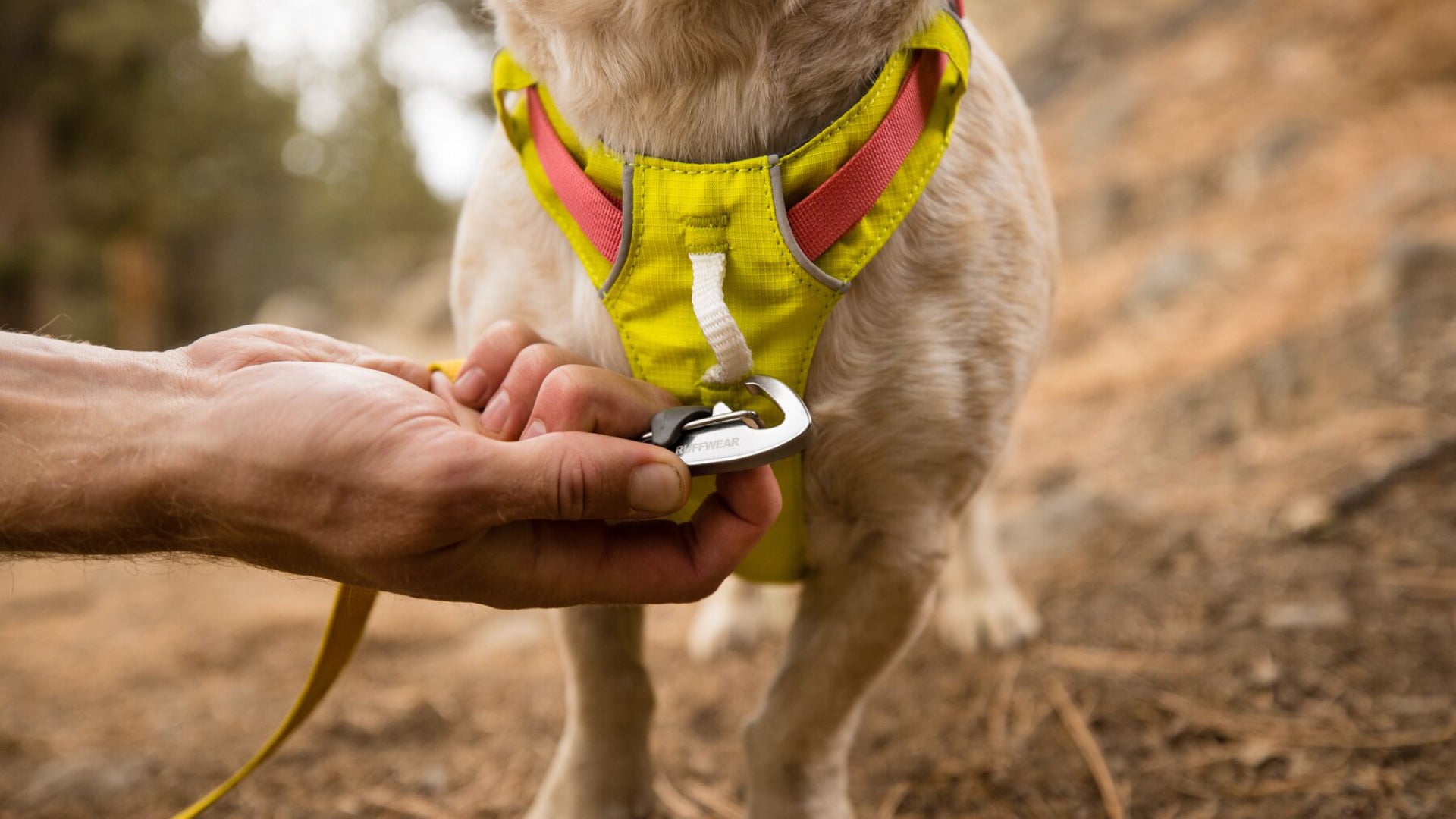 Hi Light Lightweight Dog Harness Ruffwear