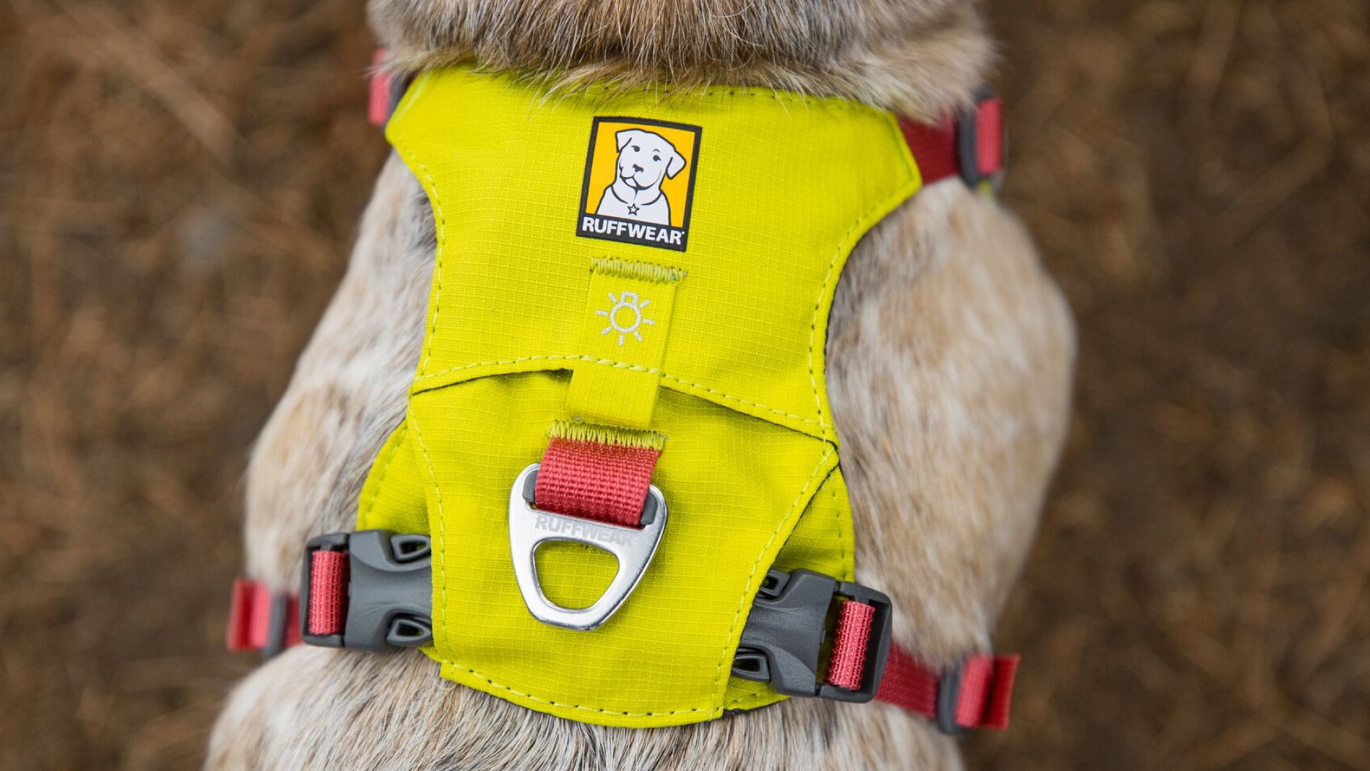 Ruffwear hi hot sale and light