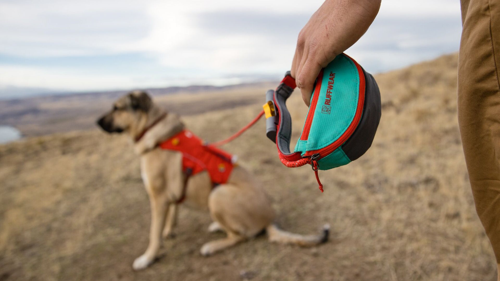 Hitch Hiker Leash Ruffwear