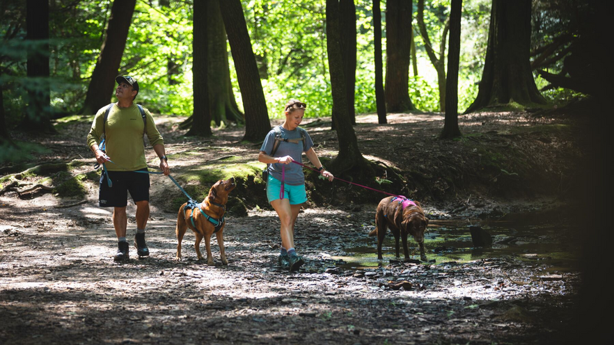 Performance Dog Gear | Ruffwear