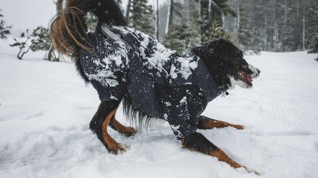 Full Range of Motion