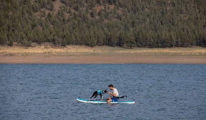 Dog and Human sitting on a paddleboard in a lake