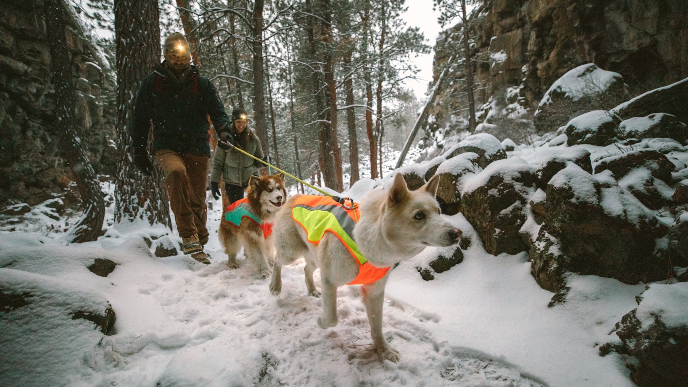 Waterproof Rechargeable Dog Safety Light The Beacon Ruffwear