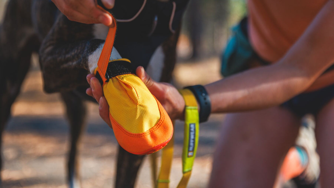 HOOK-AND-LOOP CLOSURE