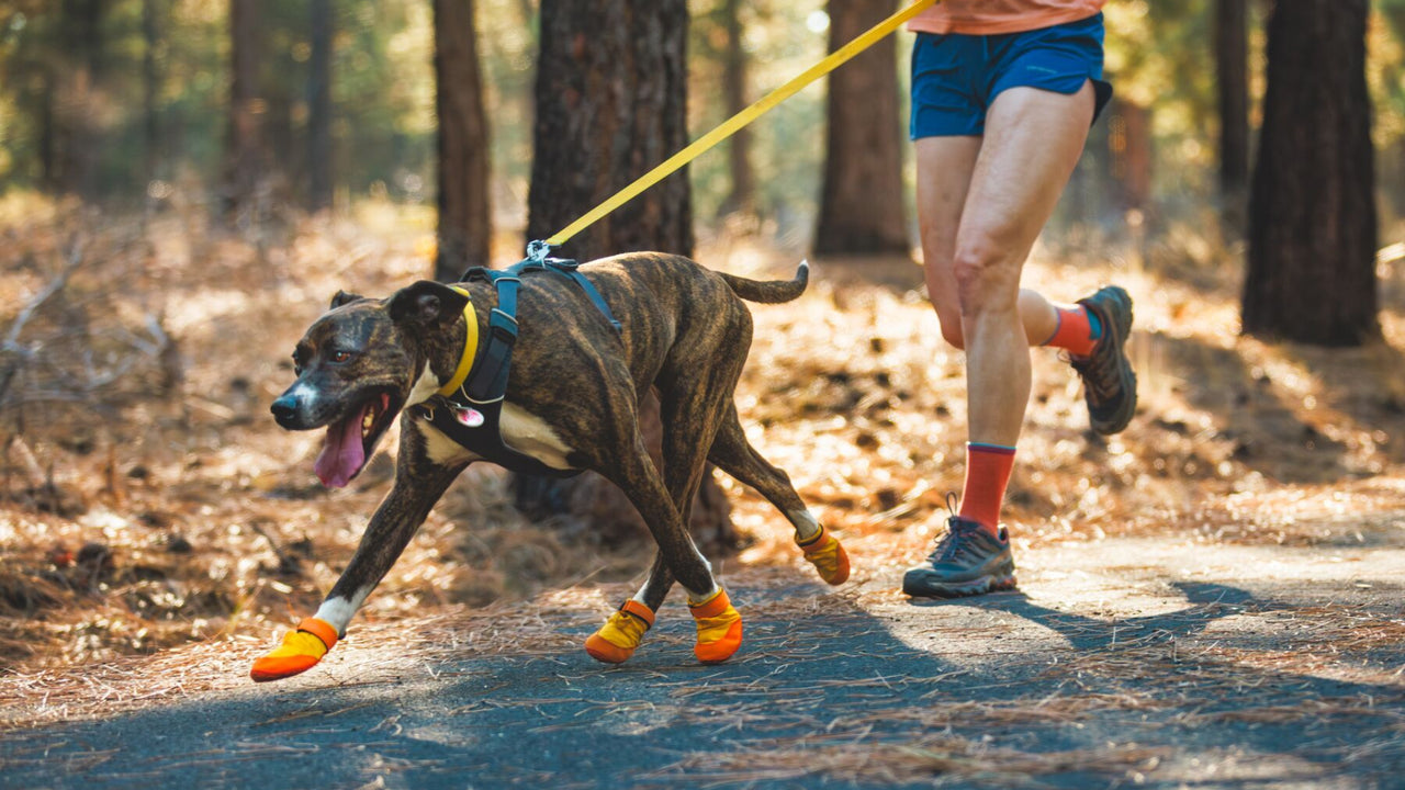 WEATHER RESISTANT & LIGHTWEIGHT