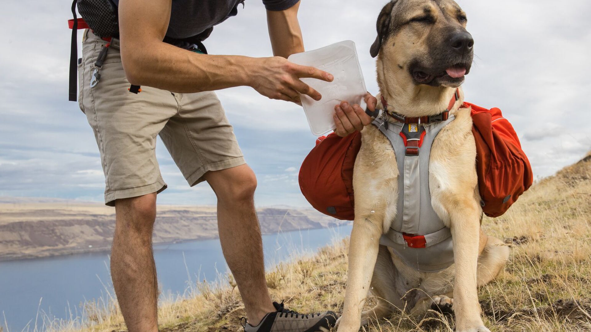 Palisades Dog Backpack Durable Multi Day Backcountry Ruffwear