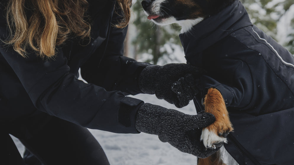 How to Fit: Ruffwear Coveralls Video Thumbnail