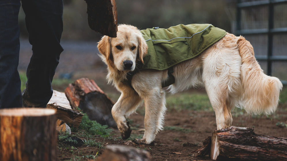 About the Overcoat Fuse™ Vest Video Thumbnail