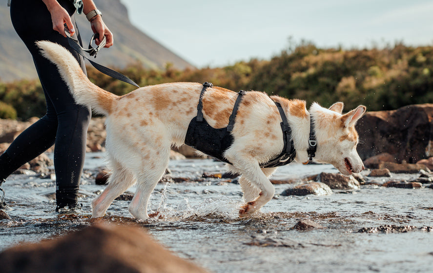 About: The Ridgeline™ Harness Video Thumbnail