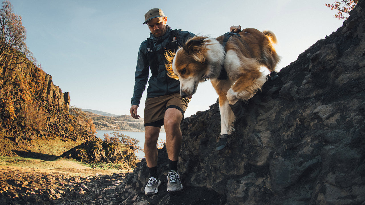 Sleek, Minimal Design