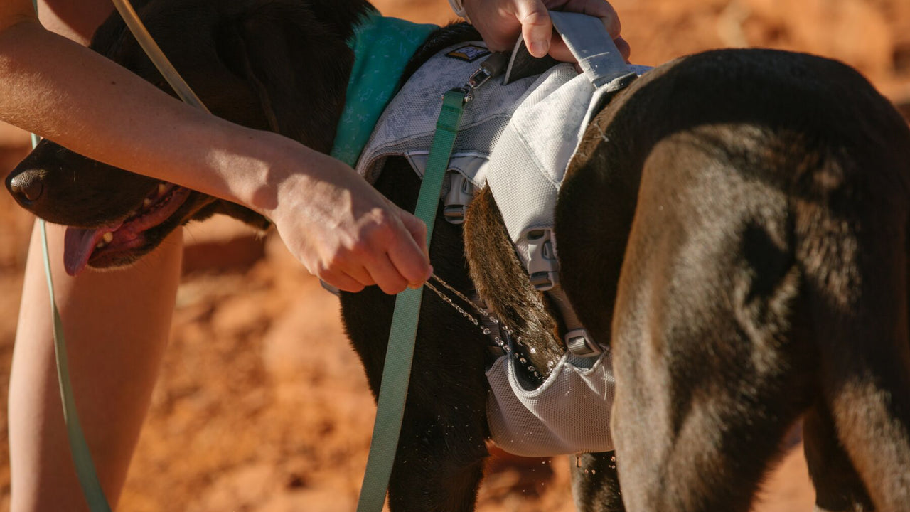 SWAMP COOLER™ TECH