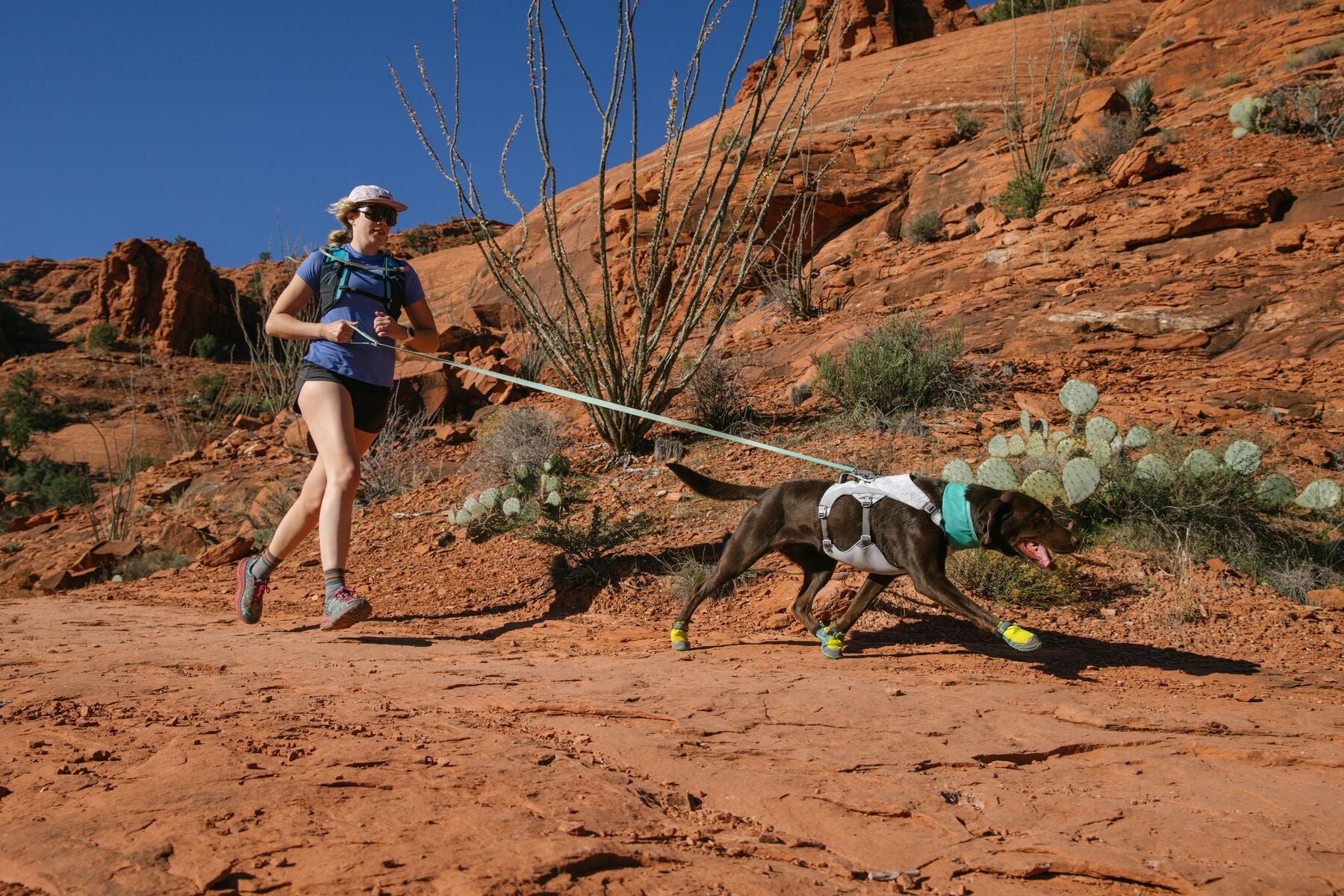 Dog deals running shoes