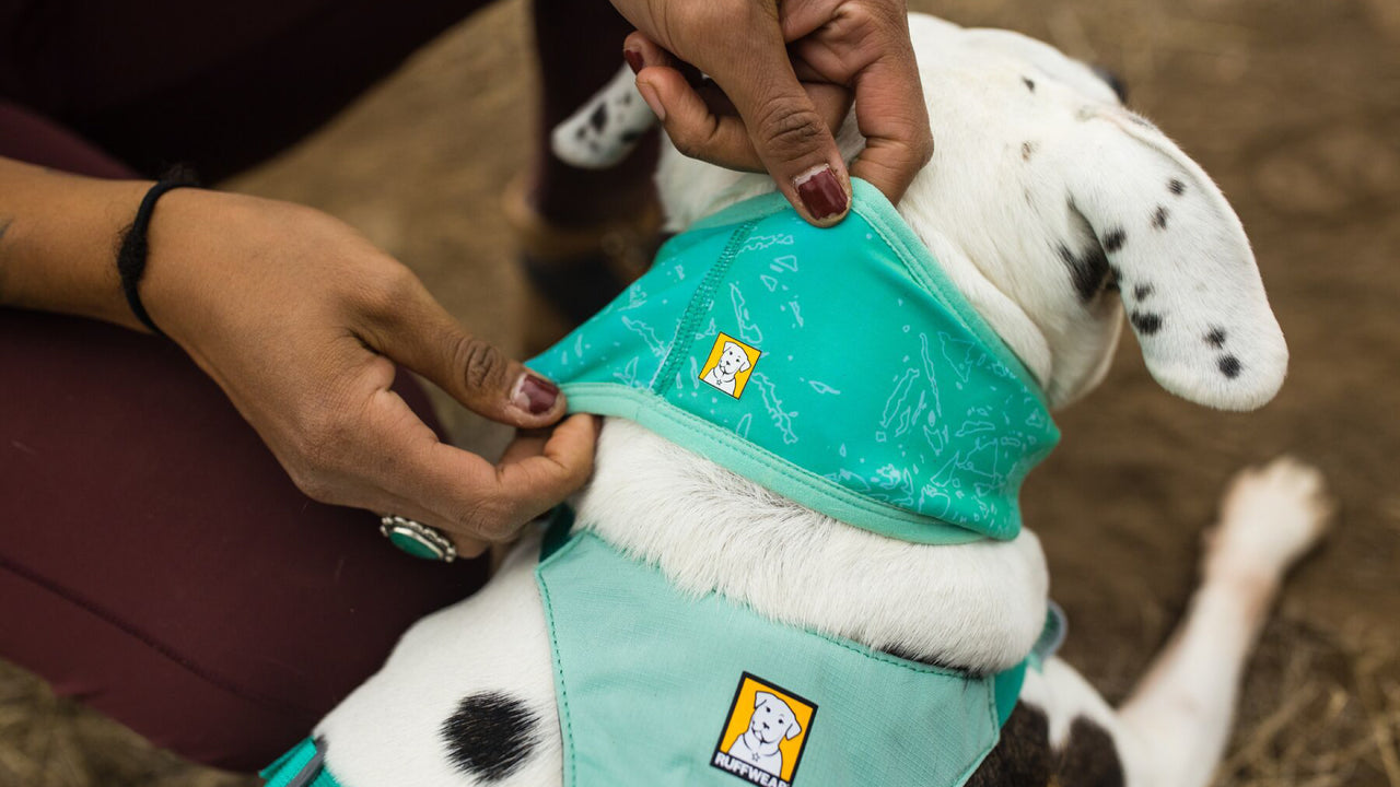 REVERSIBLE WITH UPF 50+ COVERAGE