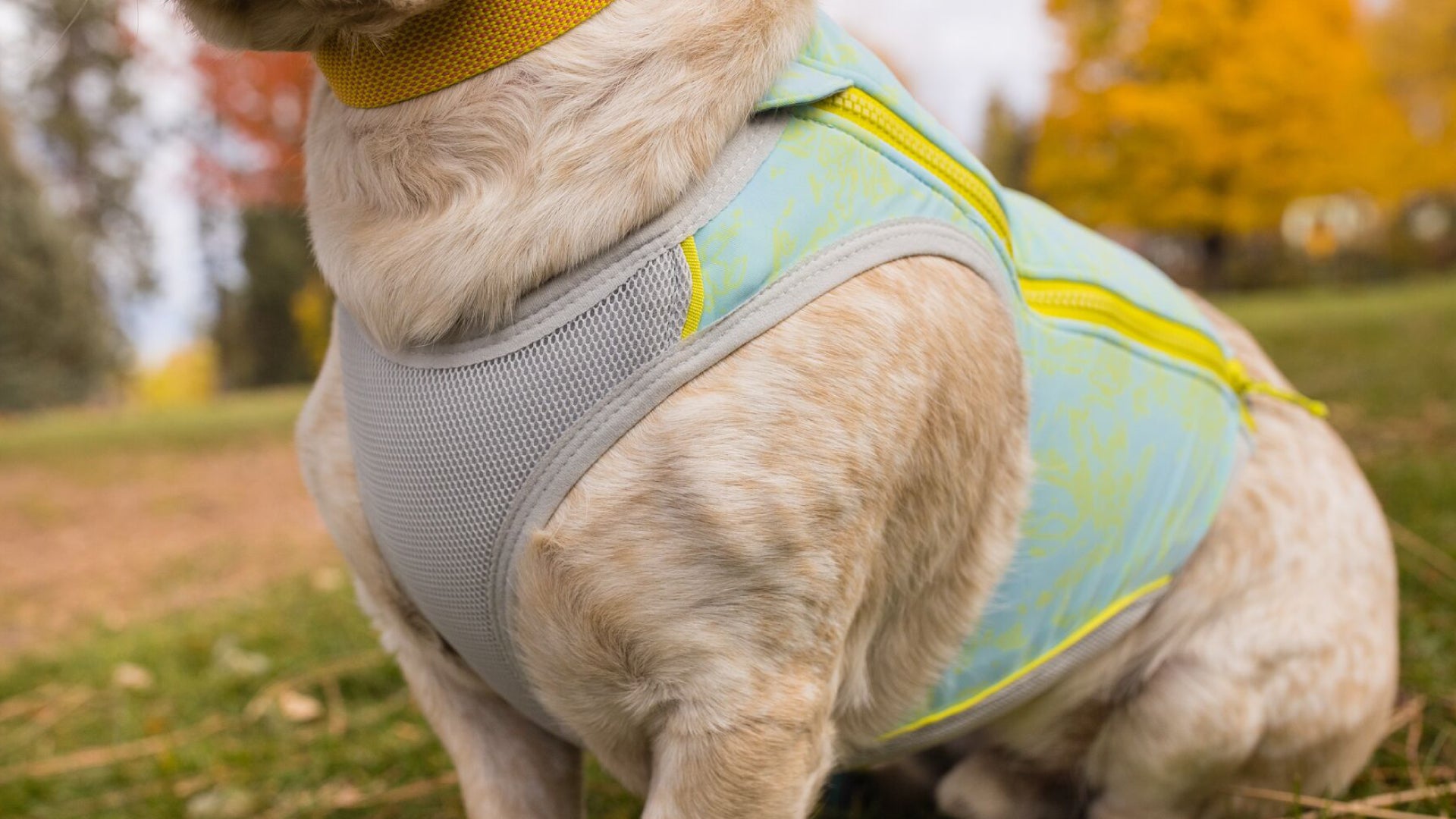 Swamp Cooler Zip Cooling Dog Vest Ruffwear