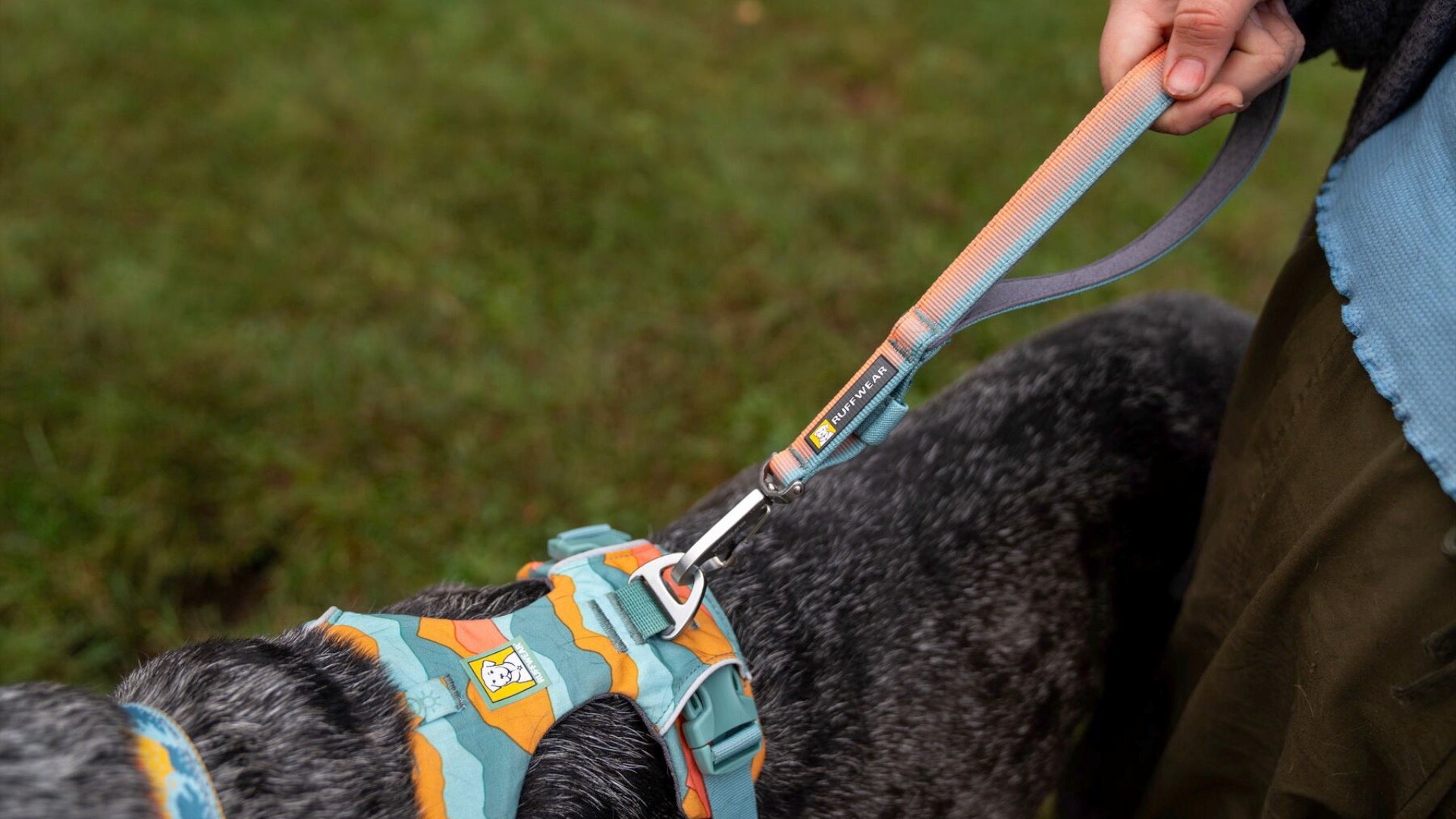 Front Range Dog Short Leash Ruffwear