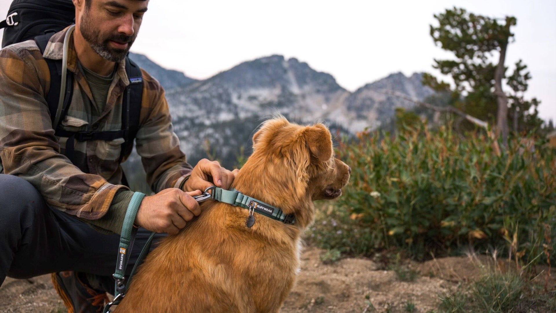 Hiking dog collar hotsell