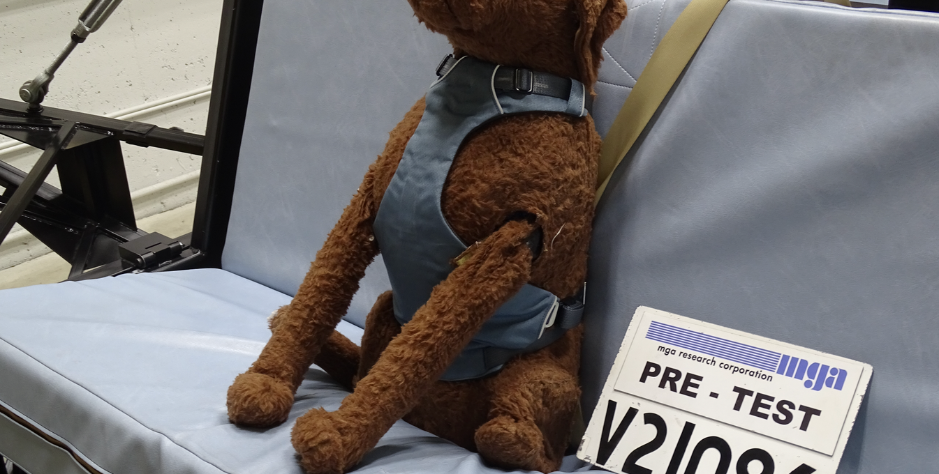 Crash tested car top harness for dogs