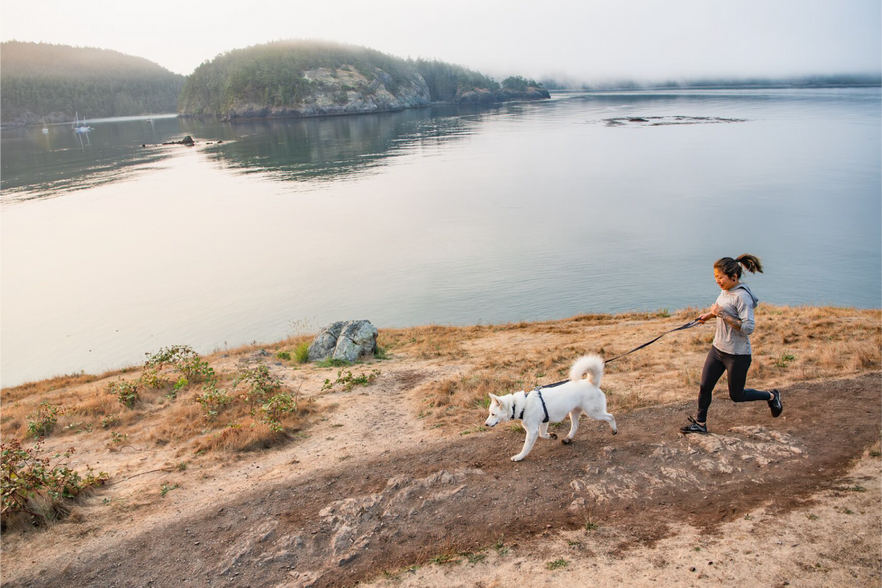 Ruffwear Performance Dog Gear