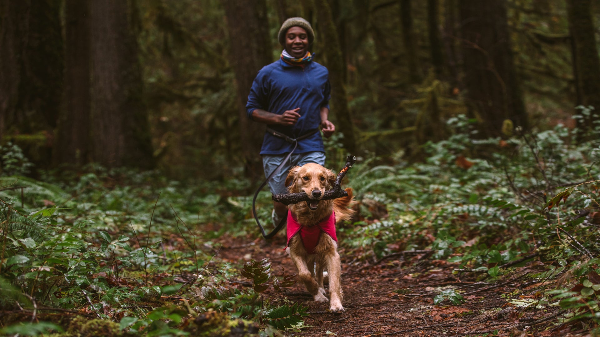 Dog shop trail boots