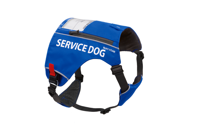Amazon service dog online
