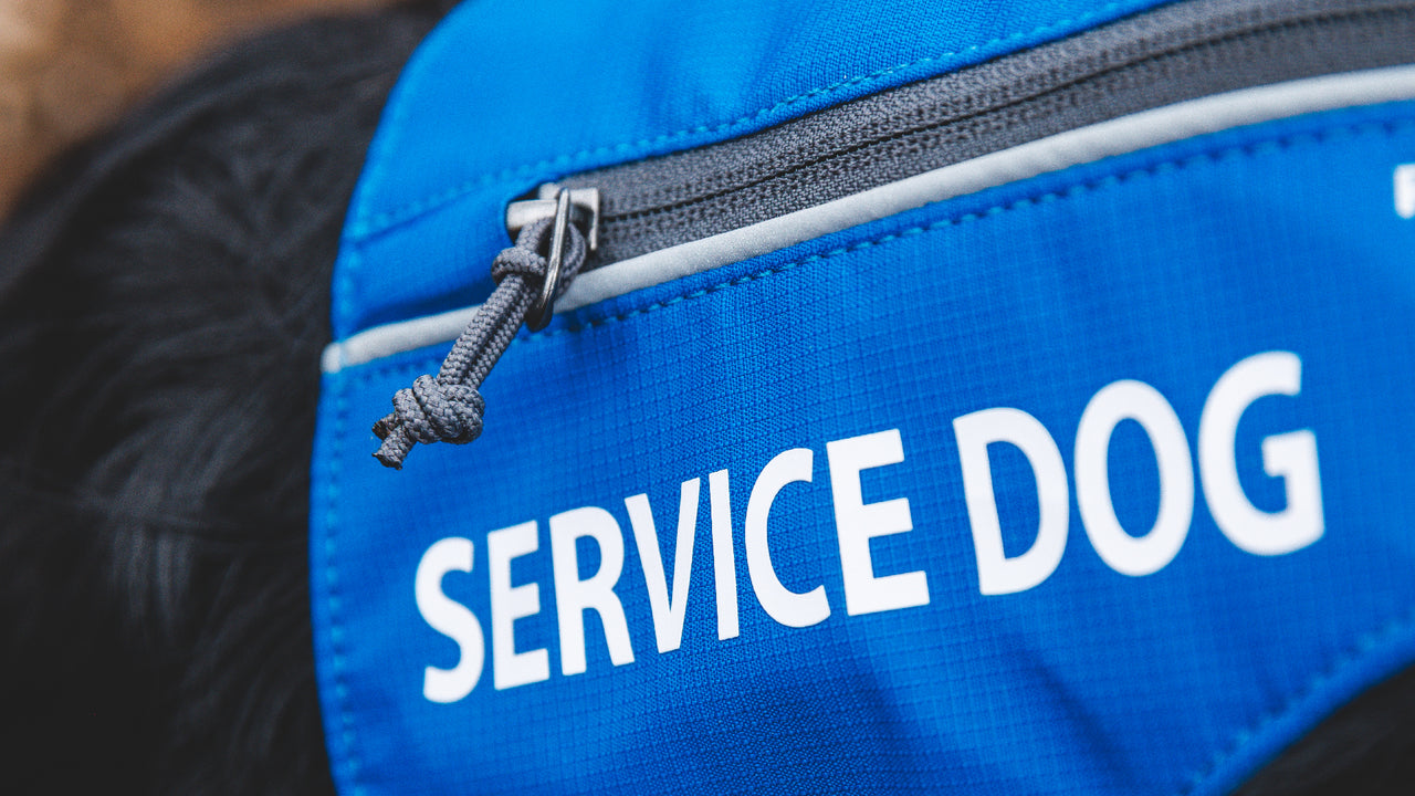 PROFESSIONAL IDENTIFICATION