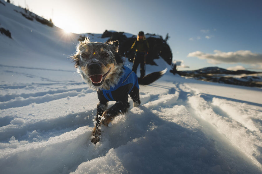 How to Fit and Adjust the Vert™ Coverall Video Thumbnail