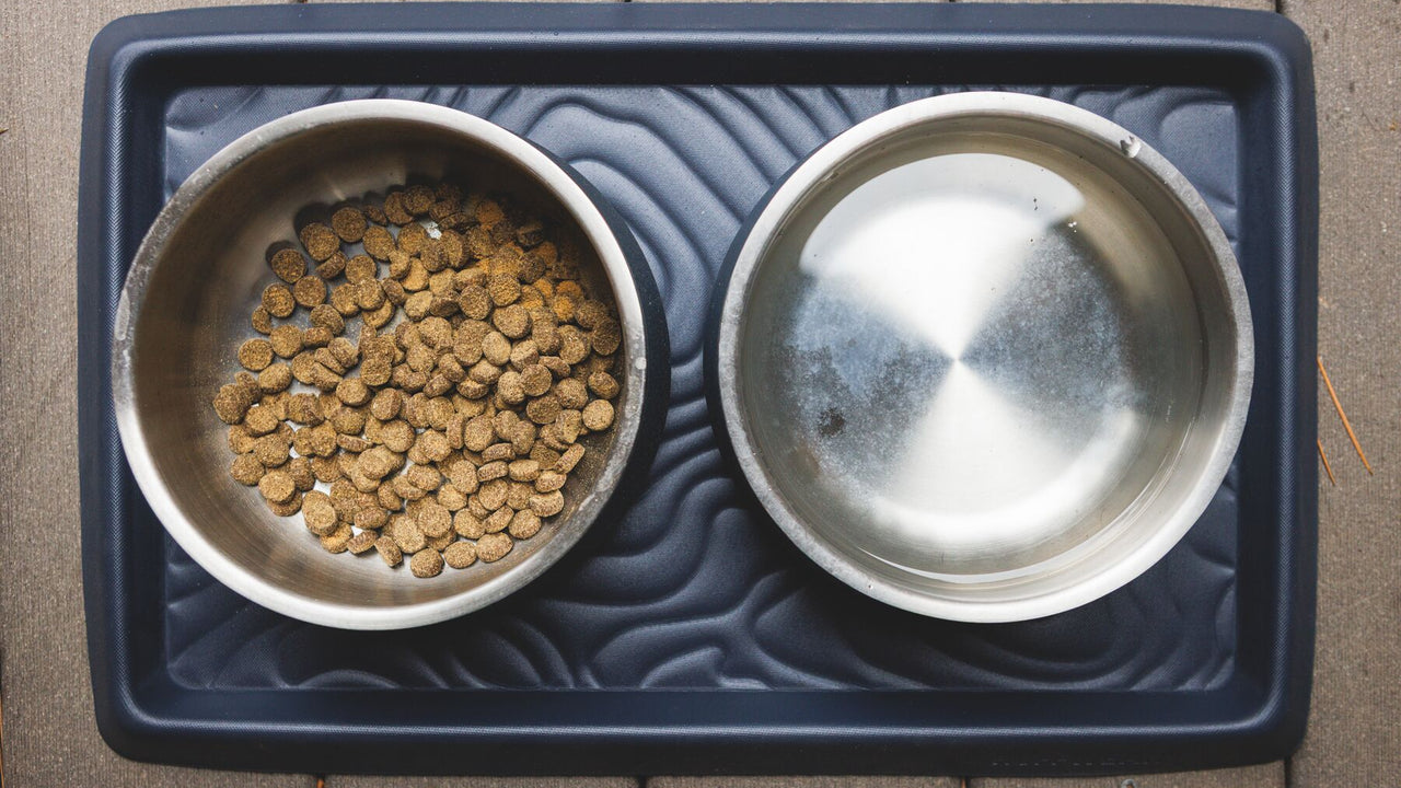 Fits Two Bowls