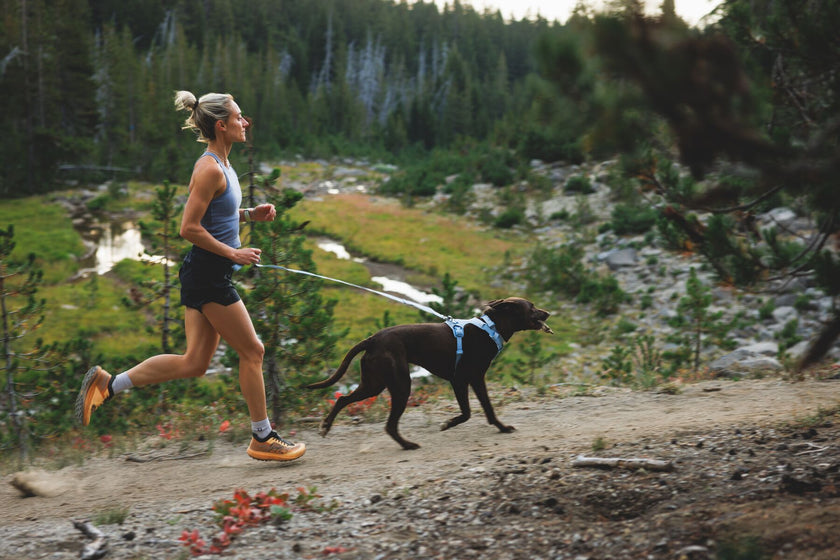 About the Front Range™ Flex Leash Video Thumbnail