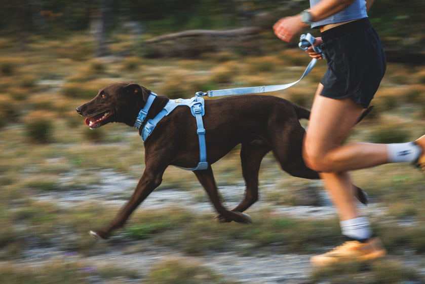 About the Front Range® Flex Harness Video Thumbnail